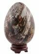 Polished Petrified Wood Egg - Colorful #51692-2